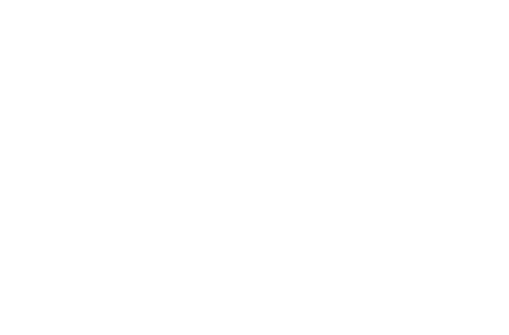 Snitch Agency